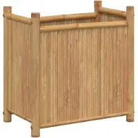 vidaXL Plantenbak 50x30x50 cm bamboe