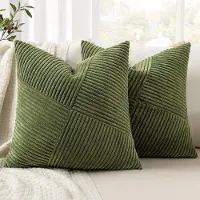 Famanu – 40 x 40 cm Matcha Green Corduroy Velvet Cushion Cover Set van 2, Decoratieve Kussenhoes voor Sofa en Woonkamer