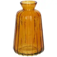 Duif Vaas Carmen | | Geel