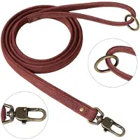 Peluvio Regent – Leren Hondenriem – Maat M – 2 cm breed – 1,7 m lang – voor middelgrote en grote honden – rundleer – koperen details – veiligheidssluiting – bruine hondenlijn