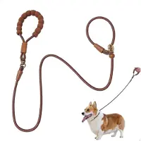 Famanu – Retrieverlijn met trekstop, 1,8 m hondenriem met halsband, verstelbare trainingslijn voor honden, anti-treklijn voor honden, retriverhondenrijnen voor wandelen, joggen, training, bruin