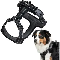 Peluvio Mate – Hondentuig met Reflectie - Maat M – Duurzaam Nylon – Ergonomisch Guard Tuig – Antiroest Gespen – Sneldrogend & Weerbestendig – Comfort & Controle voor Actieve Honden
