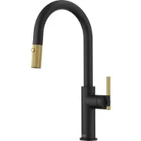 Franke Maris Stripes - Keukenkraan FG 4767.504 met uittrekbare vuistdouche, matzwart/goud 115.0747.673