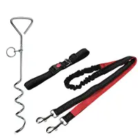 Benson handsfree hondenriem met aanlegspiraal - reflecterend - 2-delig