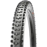 Maxxis - Dissector II 29'' (61-622) Exo TR MaxxTerra - Fietsband 29'' x 2,4'' WT - 61-622, zwart