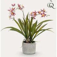 Green Boutiq Kunstplant - Orchidee - Bordeaux - 45cm