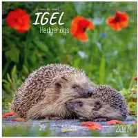 Korsch Verlag Egel Kalender 2027