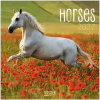 Korsch Verlag Paarden Kalender 2027