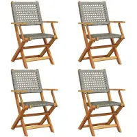 vidaXL Klapstoelen, 4 stuks, grijs polyrotan en massief hout