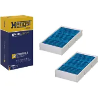 HENGST FILTER Cabinefilter E3909LB-2