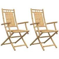 vidaXL Klapstoelen, 2 stuks, 53 x 66 x 99 cm, bamboe