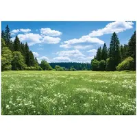 WALLARENA - Fotobehang - 150x105 cm - bos, bomen en weide voor woonkamer en slaapkamer