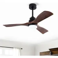 HAUSS SPOLE Plafondventilator Met Verlichting - 107 cm - ABS - Zwart En Donker Walnoot - Afstandsbediening En Omkeerbare DC-Motor