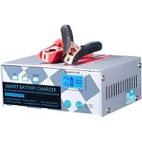 COOAU Autolader - Draagbaar - Volautomatisch met Zuiver Koperen Spoel - 12V/24V 260W