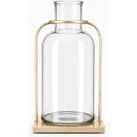 Benza – Vintage Glazen Vaas met Goudkleurig Metalen Frame – 16 x 16 x 28 cm – Transparante Flesvaas voor Droogbloemen en Woondecoratie