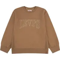 Levi's Kids Sweatshirt bruin
