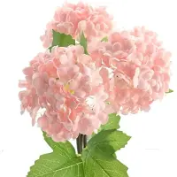 Dpi Sneeuwbal Roze ca. 28 cm 3 Stuks - Kunstbloemen