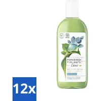 Dove Powered by Plants - Oil Body Wash - Eucalyptus - 250 ml - Voordeelverpakking - 12 stuks