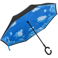 vidaXL Paraplu C-handgreep 108 cm zwart