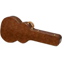 Gibson Lifton Historic Brown/Pink Hardshell Case SJ-200