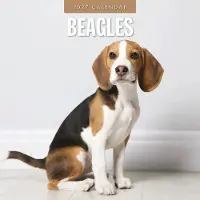 Red Robin Beagle Kalender 2027