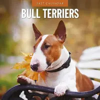 Red Robin Bull Terrier Kalender 2027