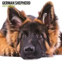 Magnet & Steel Duitse Herder Modern Kalender 2027