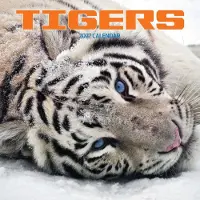 Magnet & Steel Tijger Kalender 2027
