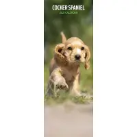 Magnet & Steel Engelse Cocker Spaniel Kalender 2027 Slimline
