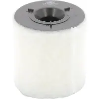 Champion CAF100487C Luchtfilter