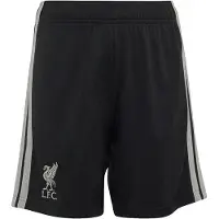 Adidas Sportbroek 'FC Liverpool 26/27' lichtgrijs / zwart