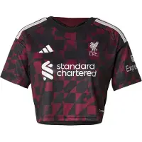 Adidas Functioneel shirt 'FC Liverpool 26/27' wijnrood / zwart / wit
