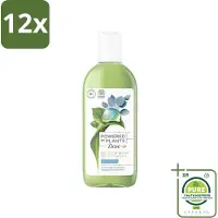 Dove Powered by Plants - Oil Body Wash - Eucalyptus - 250 ml - Voordeelverpakking - 12 stuks - Natuurlijke bodywash - Eucalyptus bodywash