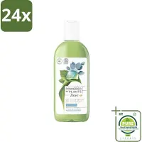 Dove Powered by Plants - Oil Body Wash - Eucalyptus - 250 ml - Voordeelverpakking - 24 stuks - Natuurlijke bodywash - Eucalyptus bodywash