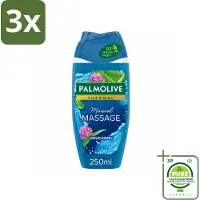 Palmolive 3 x - Thermal - Douchegel - Zeezout & Aloë Vera - Mineral Massage - 250 ml - Grootverpakking - Douchegel - Zeezout - Aloë Vera - Exfoliëren - Hydrateren