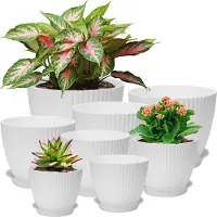 Famanu – Set van 8 plastic bloempotten met gat en ronde schotel, ideaal voor cactussen en kruiden, perfect voor kantoor en balkon in wit