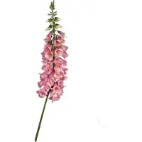 Buitengewoon Boet Vingerhoedskruid 127 cm Roze kunstplant Buitengewoon de Boet