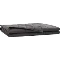 vidaXL Verzwaringsdeken Antraciet 220 x 260 cm 11 kg 100% Katoen 205T