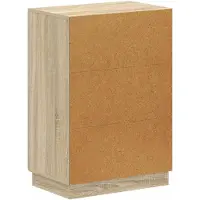 vidaXL Schoenenkast HOORN 59,5 x 39,5 x 87 cm Bewerkt hout