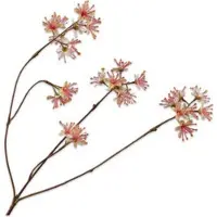 Silk-ka Kunstbloem Capparis Geel / Roze H 43 Cm