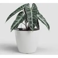 Artevasi San Remo Bloempot Zelfwaterend Ø 42,7 cm Wit - Plantenpot en Bloembak voor Binnen en Buiten