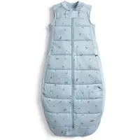 ErgoPouch Sheeting Slaapzak - 2,5 Tog - Slaapzak - Slaapzak baby - Slaapzak 8-24 - Slaapzak 90 cm - Dragonflies