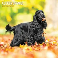 Magnet & Steel Engelse Cocker Spaniel Kalender 2027