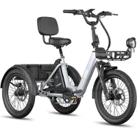 Fafrees F20 Mate II Elektrische Driewieler – 21Ah Accu, 85km Bereik, 65Nm Koppel – Voor Senioren & Dagelijks Gebruik Frost Grey