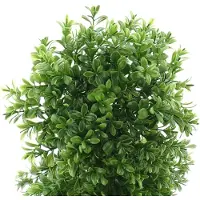Dpi Buxuskrans Groen Ø 18 cm - Kunstplanten