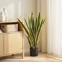 HAUSS SPOLE Kunstplant Sansevieria 77 cm – Realistisch Blad – Polyethyleen – Groen – Voor Binnen – In Pot – Onderhoudsvrij Voor Woonkamer En Bureau