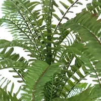 Gasper Boston Varen - Nephrolepis Groen 67 cm in pot - Kunstplanten