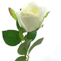 Gasper Rozenbloem Wit 45 cm