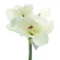 Gasper amaryllis wit 66 cm - kunstbloemen