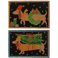 Décoris Deurmat Tekkel 40x60cm Verschillende verschillende Kokosvezel